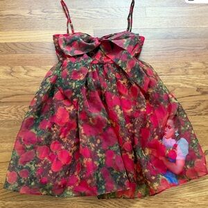 Wizard of Oz Dress - Dorothy